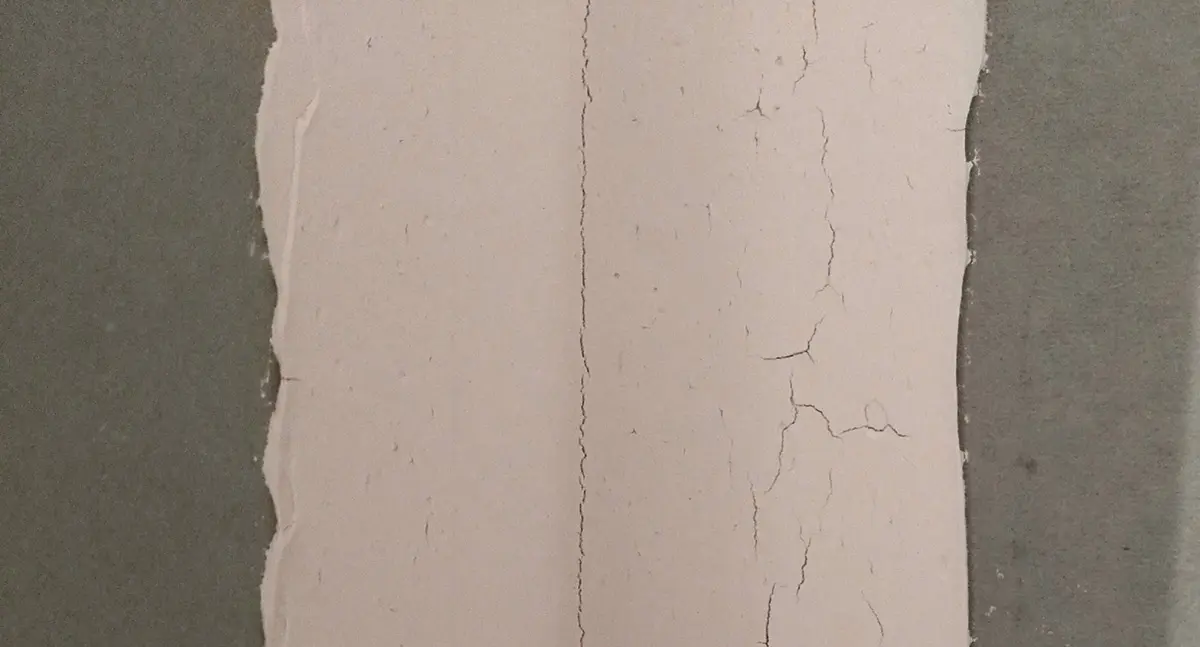 Can You Paint Over Wet Drywall Mud? Dupaint