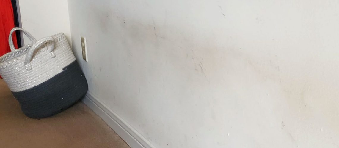 Rental property wall that needs repainting